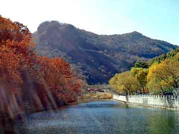 管家婆黑白马报图库，宁海seo建站